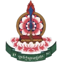 Signatory University 13